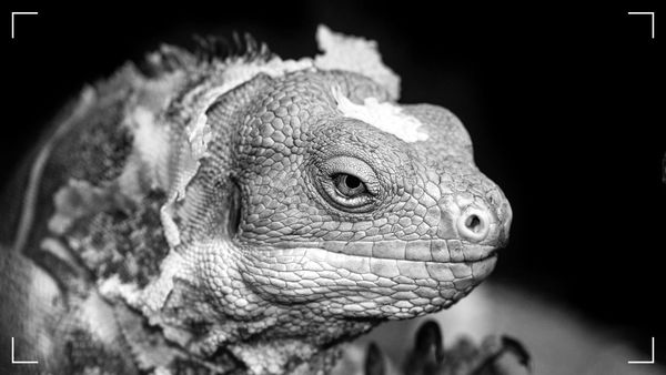 What Brought You Here Might Kill You There