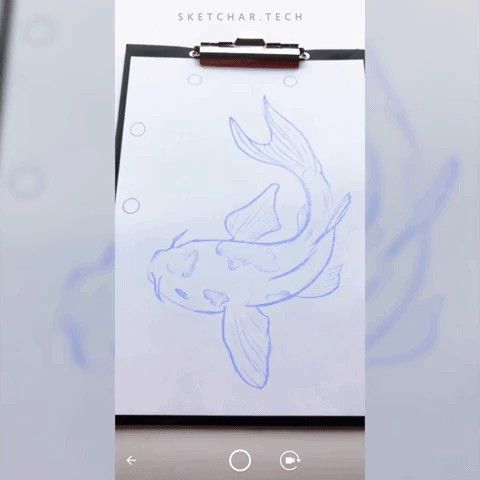 The method of Predictive Markers or how we step closer to the white paper.