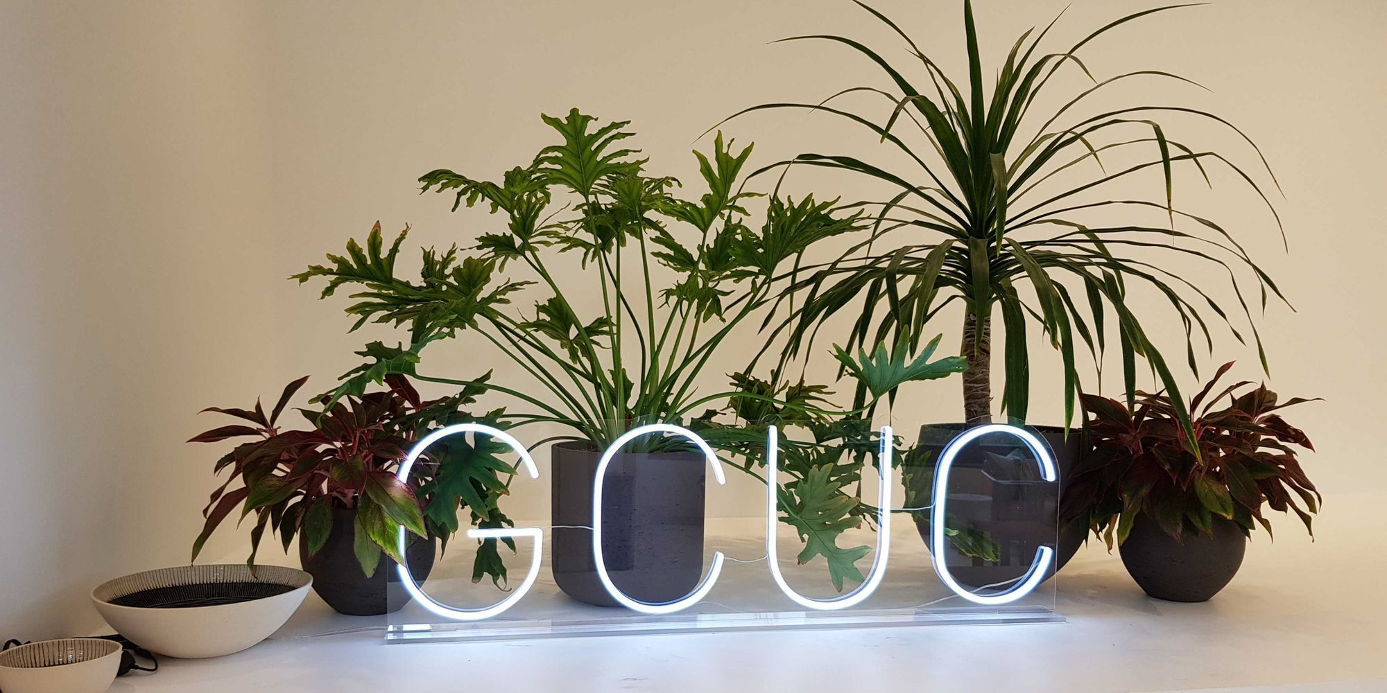 GCUC NA 2021 - The Bounce Back!