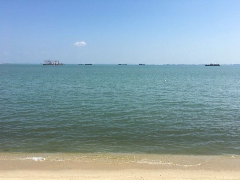 Why Everyone Should Go To CUAsia