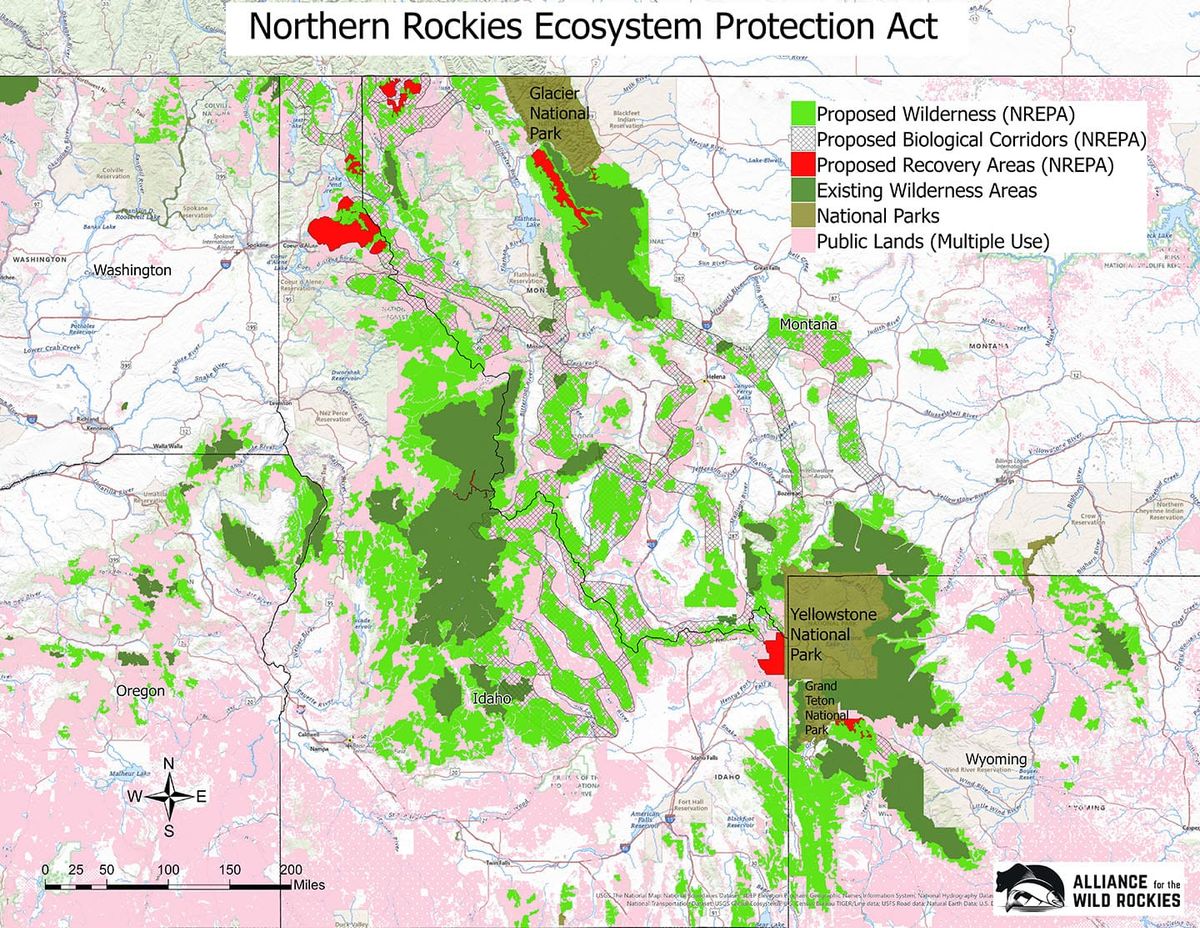 Why we need the Northern Rockies Ecosystem Protection Act now more than ever
