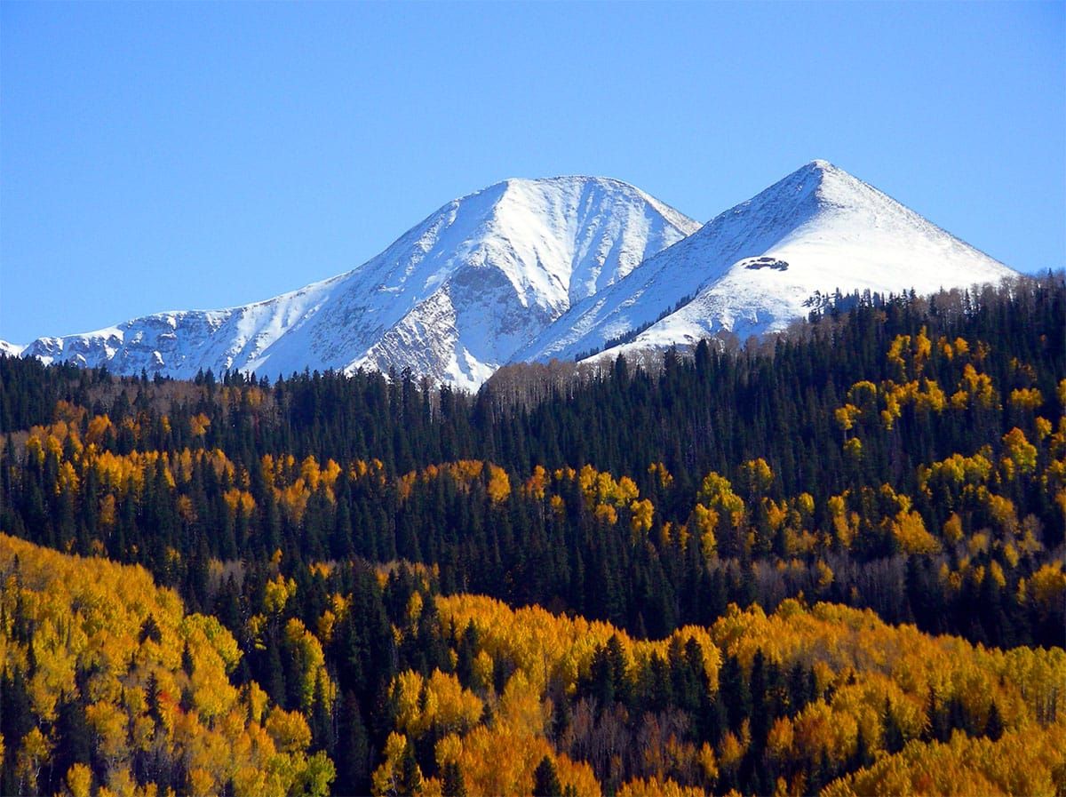 Alliance for the Wild Rockies halts Forest Service plan to log and burn entire Manti-La Sal National Forest