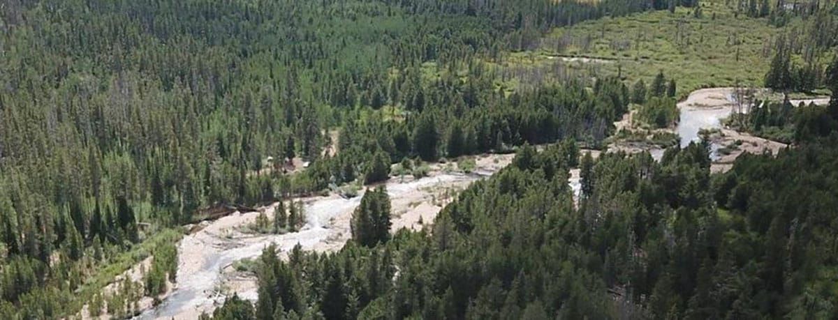 Alliance stops secret logging and burning project in Uintas-Wasatch-Cache National Forest