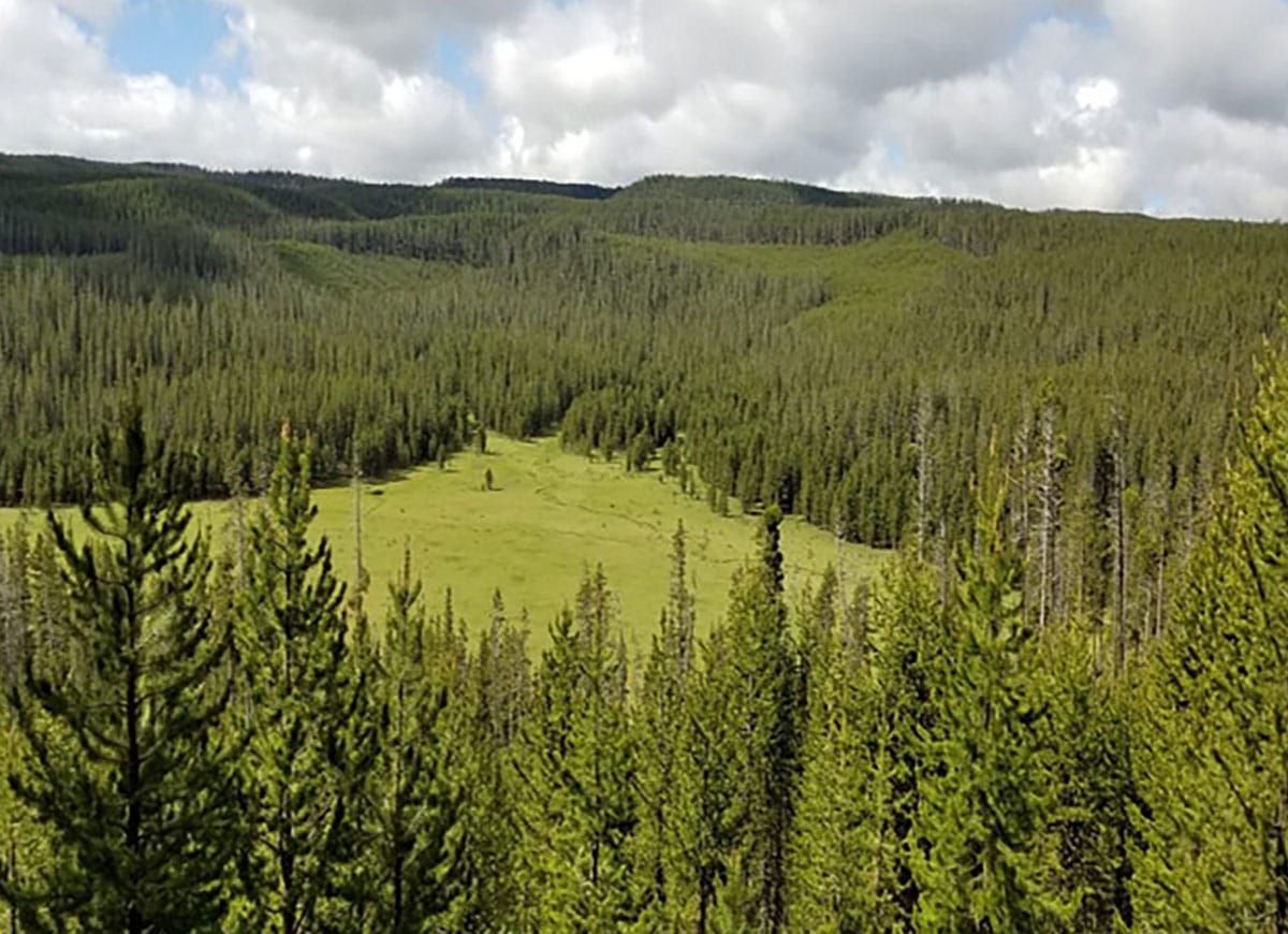 Senator Whitehouse and Congresswoman Dean introduce the Northern Rockies Ecosystem Protection Act
