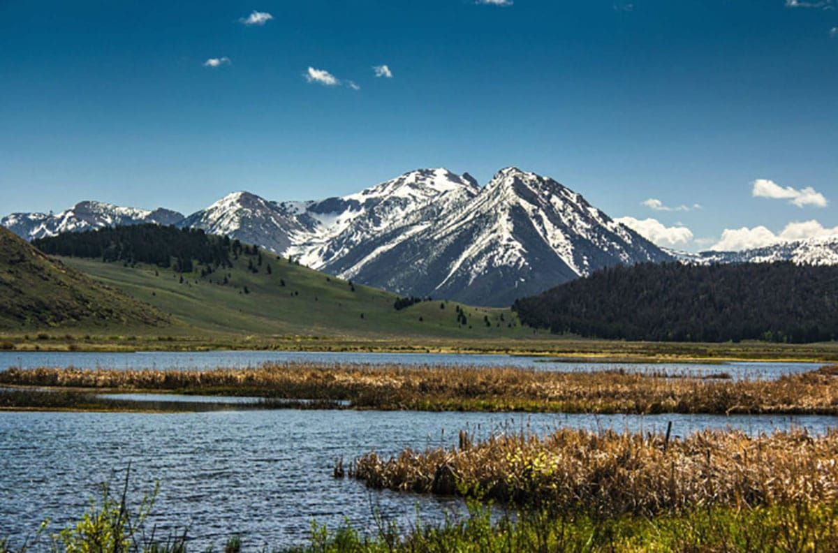 Top Ten things Alliance for the Wild Rockies did to protect the Northern Rockies Ecosystem in 2024