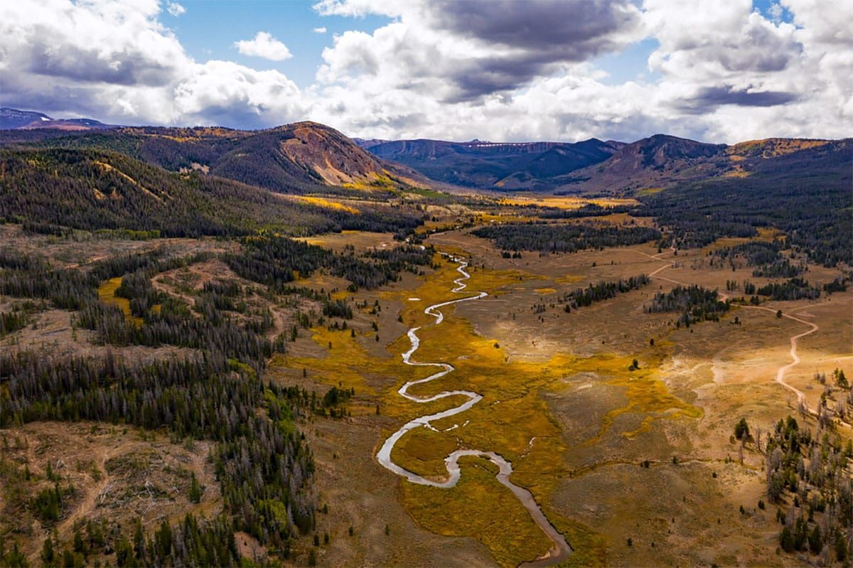 Environmental Groups Save Ashley National Forest Roadless Areas from Bulldozers and Chainsaws