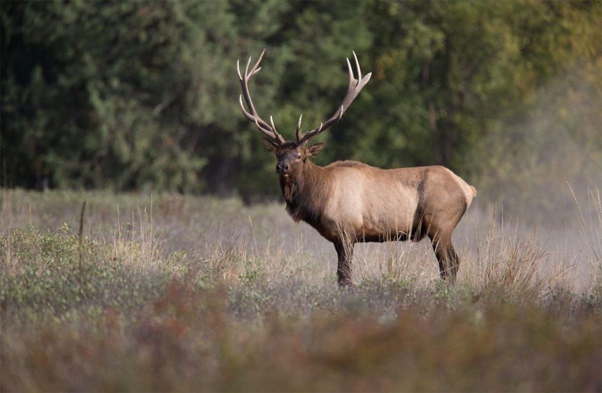 Forest Service must follow the law like everyone else