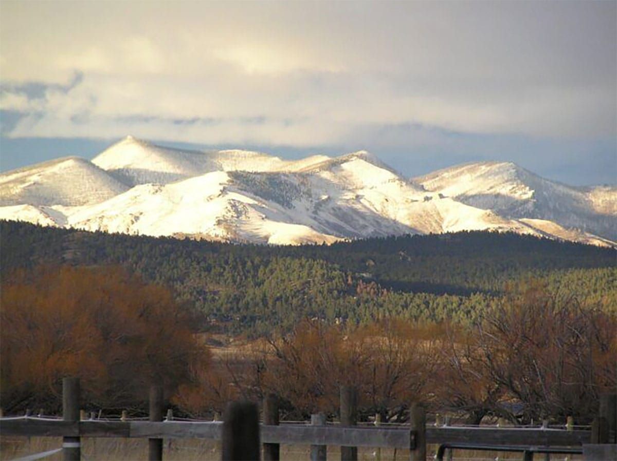 Alliance Stops 100 Miles of Roads and 5,000 Acres of Clearcuts on Montana Public Lands