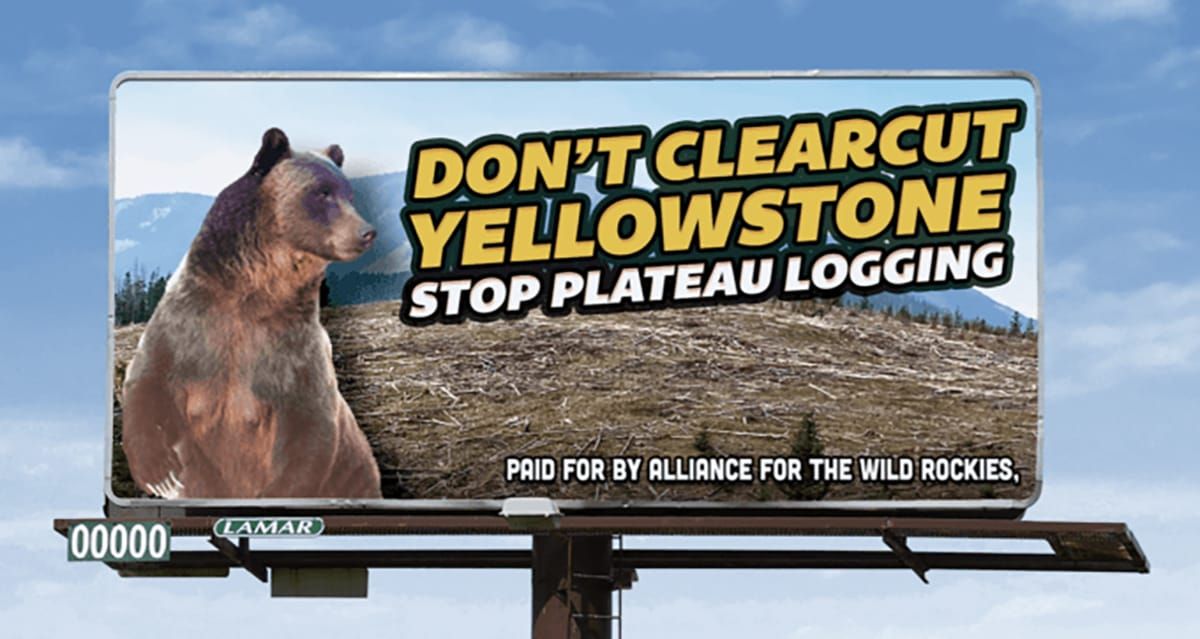U.S. Forest Service logging makes a mockery of Biden's climate pledge