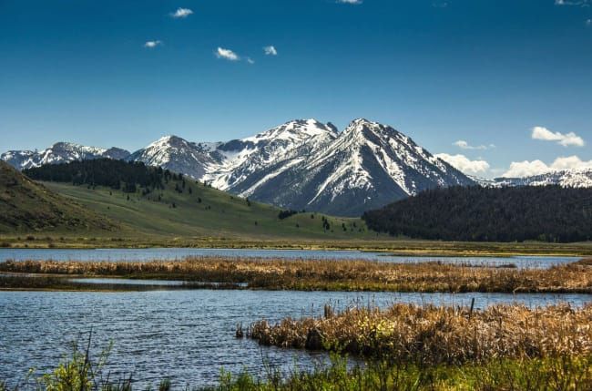 Alliance for Wild Rockies halts degradation of Red Rock Lakes Wilderness