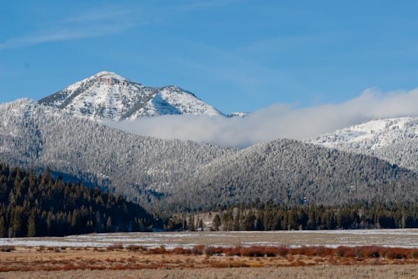 Biden administration a welcome change in forest service plans