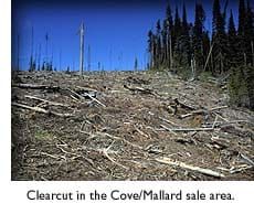 Baseless GOP Rants Against Environmentalists by George Ochenski