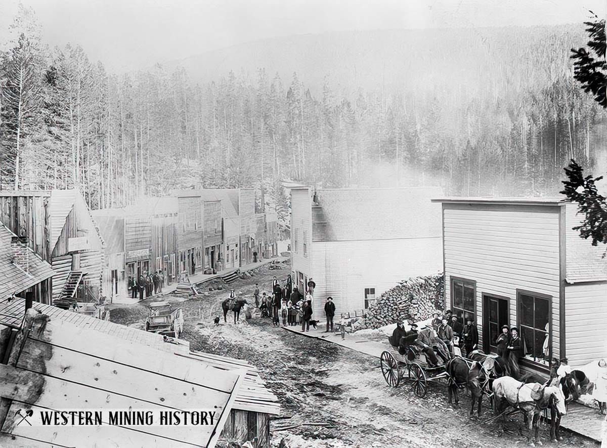 Calling Bull on Forest Service and Timber Industry "unnaturally thick forests" Propaganda