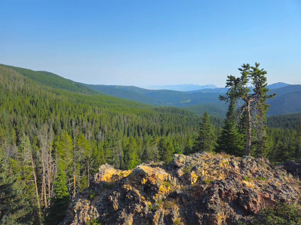 Alliance Files Lawsuit to Stop Forest Service's Hyalite-South Cottonwood Old Growth Logging Project In Most Popular National Forest Recreation Area in Montana