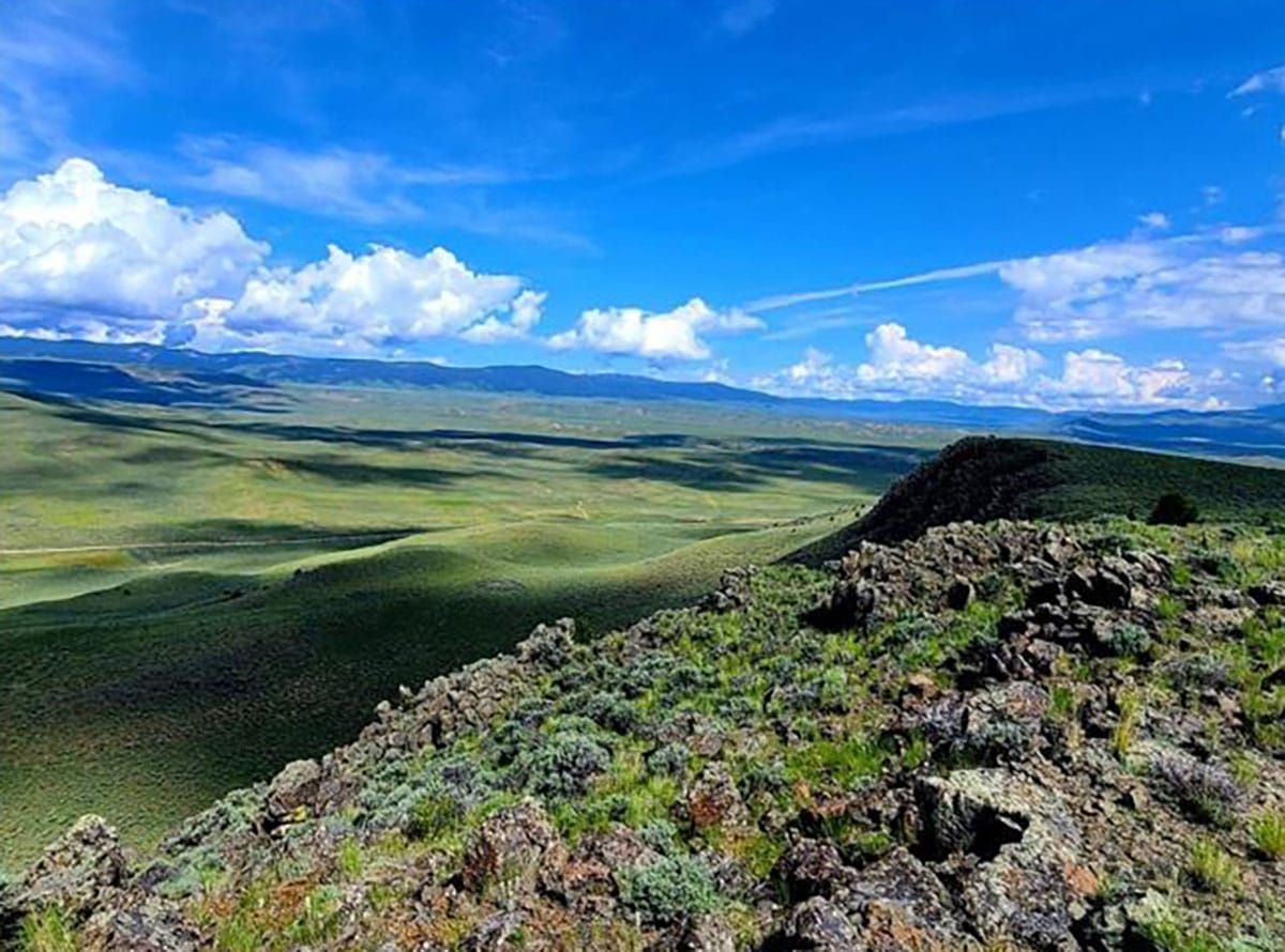 Why we are suing the BLM to stop deforestation and burning across 905,000 acres of southwest Montana