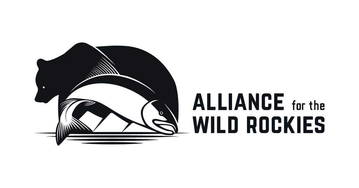 Top Ten Things the Alliance did to protect the Northern Rockies Ecosystem in 2025