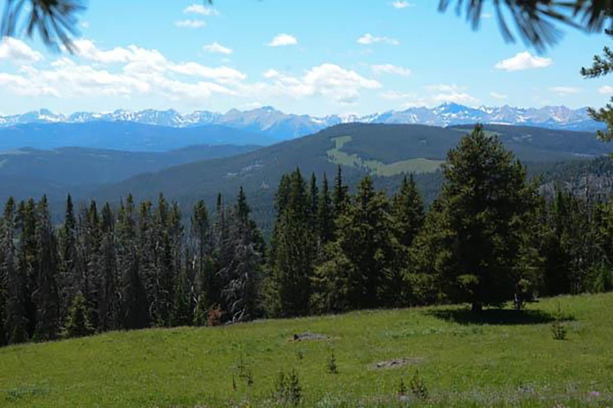 NREPA Will Designate all Greater Yellowstone Wilderness Study Areas as Wilderness