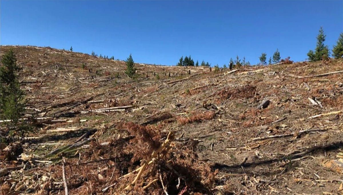 The Wilderness Society, Greater Yellowstone Coalition, and Montana Wilderness Association have Consistently Undermined the Roadless Rule