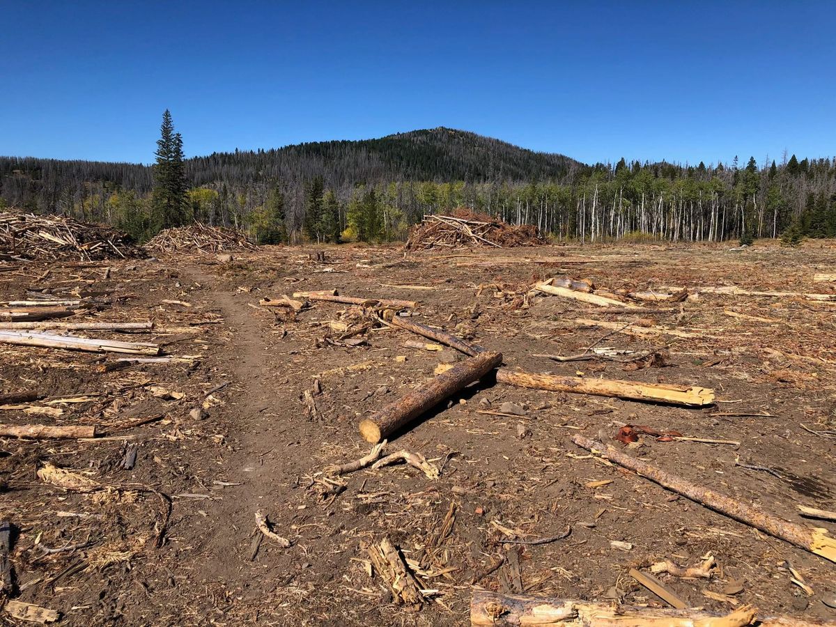 Motorized wreckreation group lists the Alliance for the Wild Rockies as the nation's most-feared Environmental Organization
