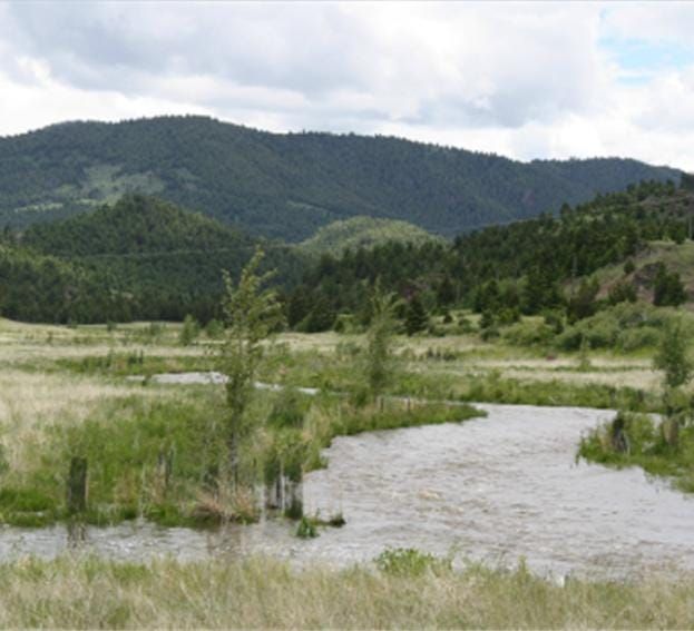 Alliance for the Wild Rockies halts chronic dewatering of bull trout critical habitat in the Clark Fork River