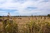 Hot and dry is the new normal as drought returns to impact Oklahoma agriculture
