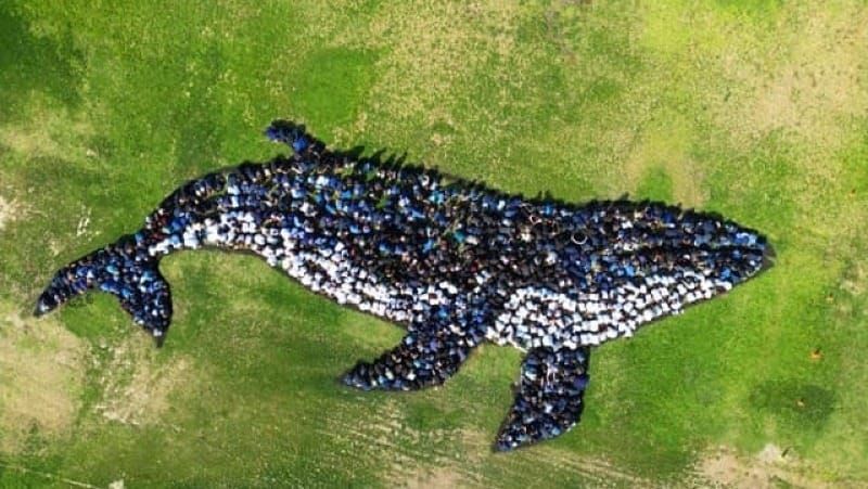 Students Collaborate on Larger-than-Life Art Project