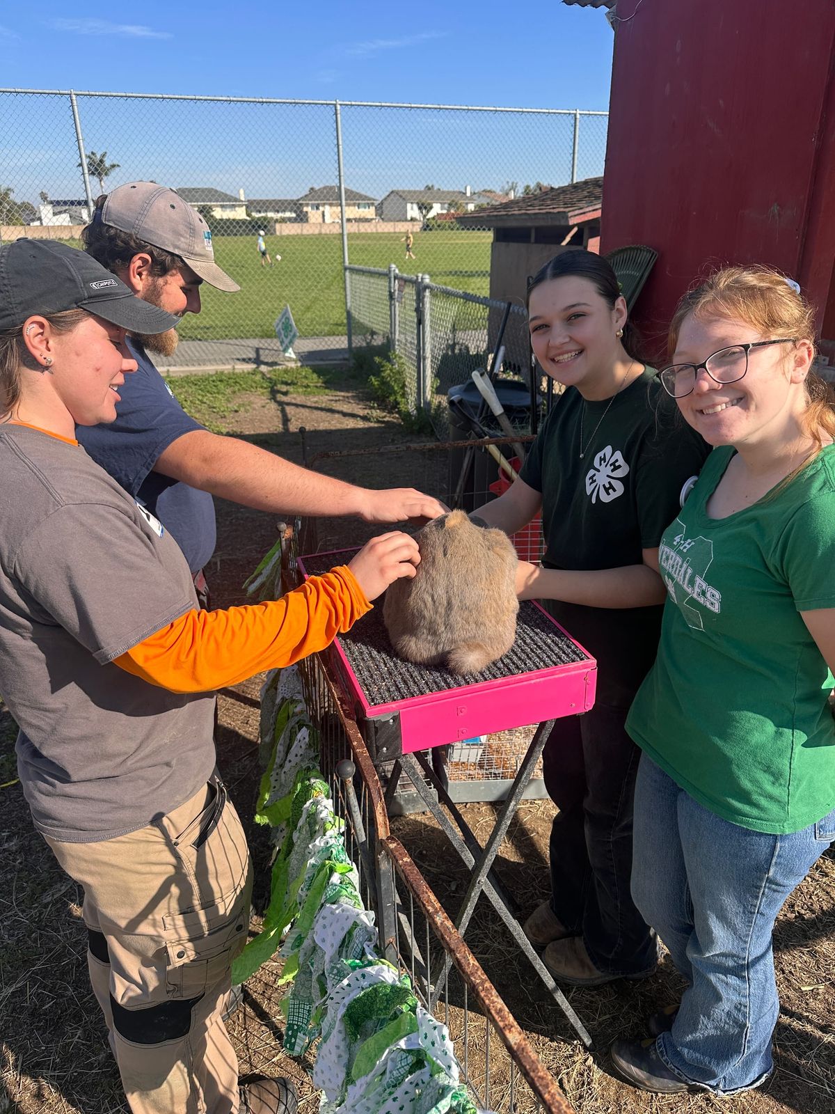 Rooted in Community: Golden View Elementary’s Farm, Families, and Experiential Learning Programs