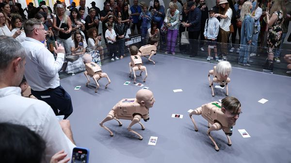 A crowd of people gather around an art exhibit of robot dogs with human heads.