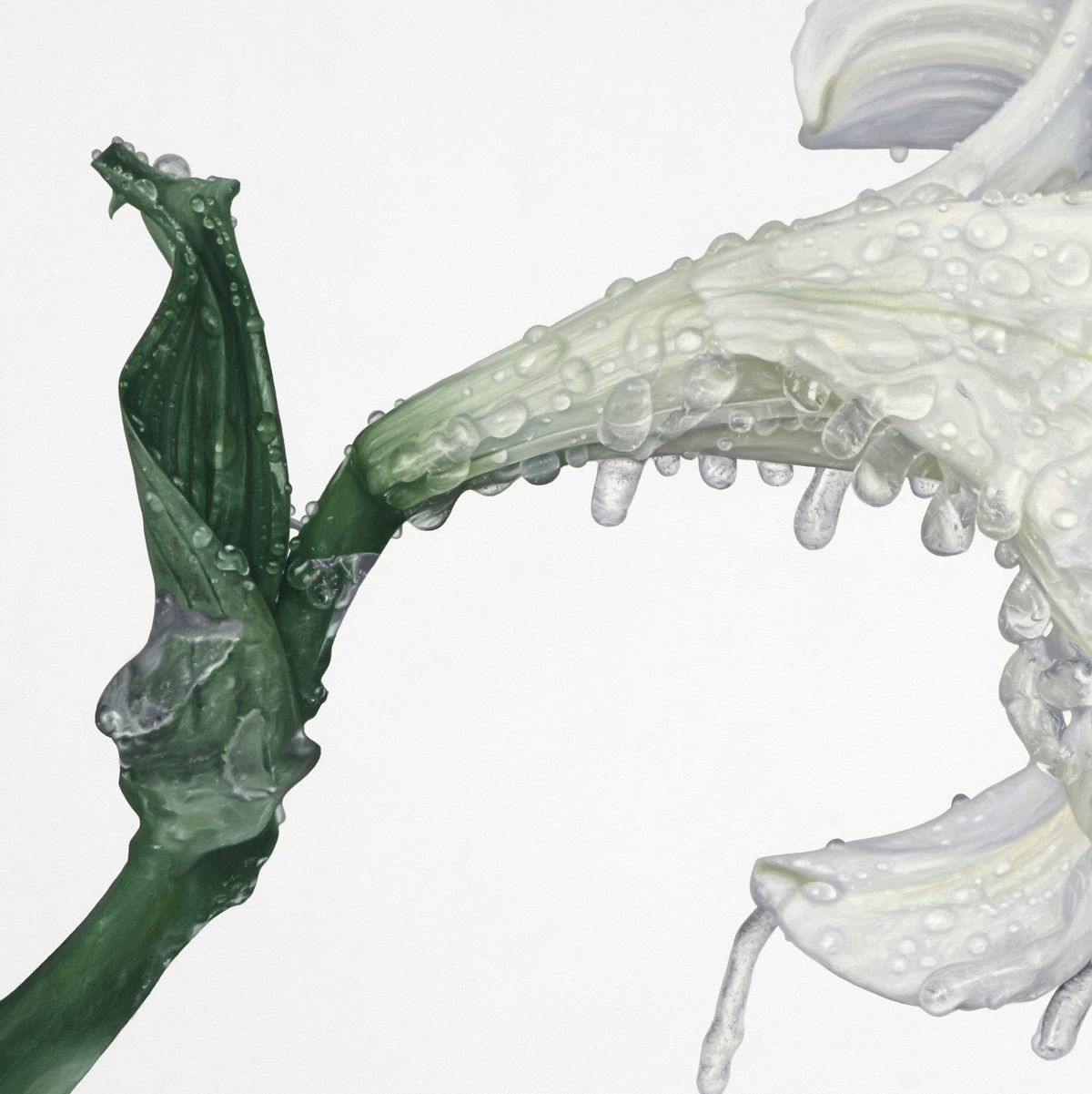 Helena Margrét Paints Flowers and Fear Through Photorealism Post feature image