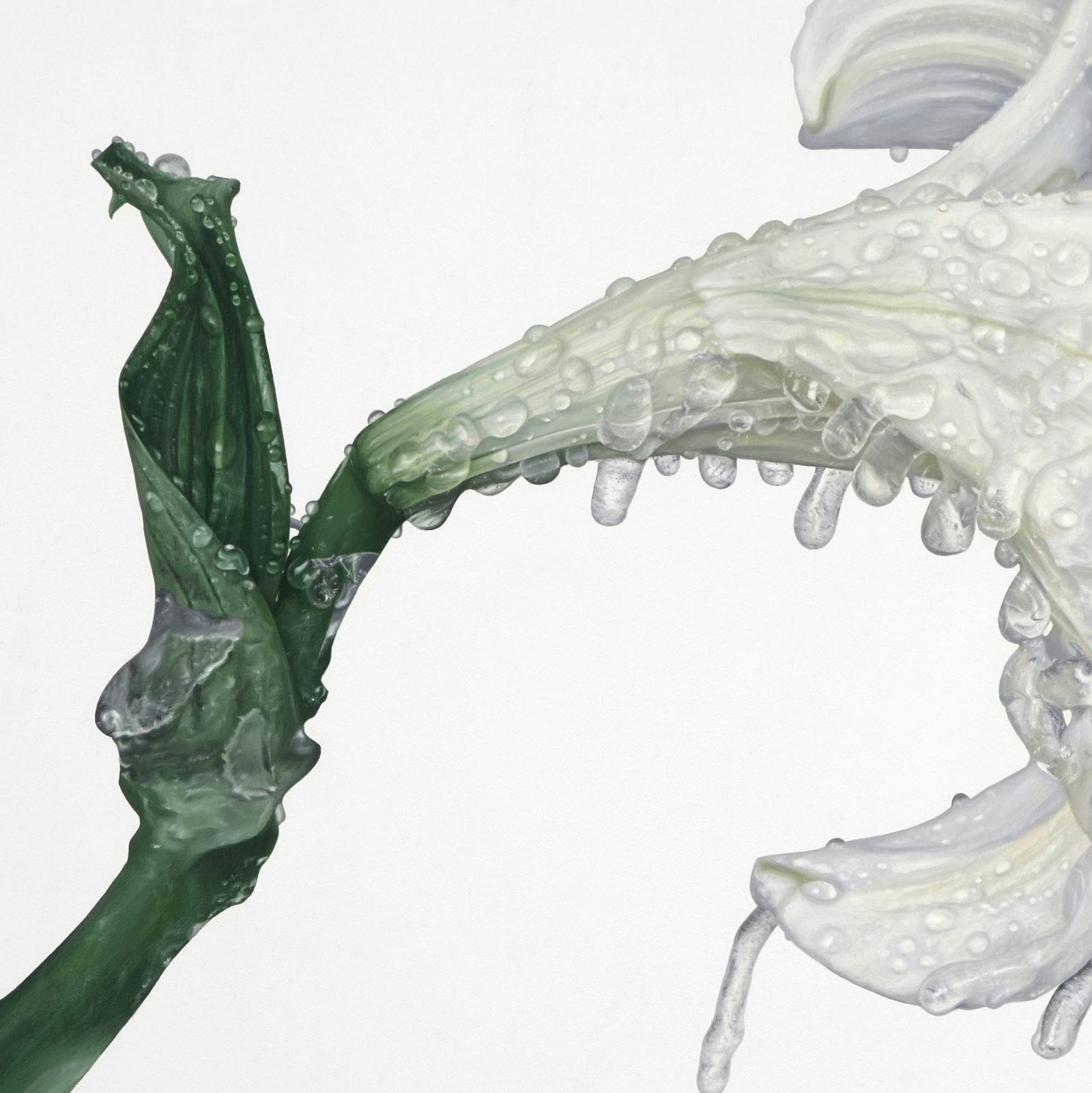 Helena Margrét Paints Flowers and Fear Through Photorealism Post feature image