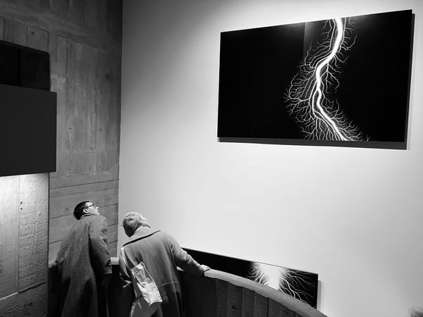 Magpie 003 • People in an exhibition