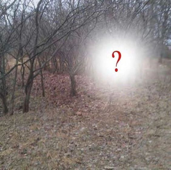 Understanding the Divine Masucline