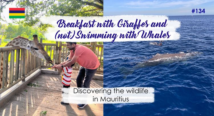 Breakfast with Giraffes and (not) Swimming with Whales
