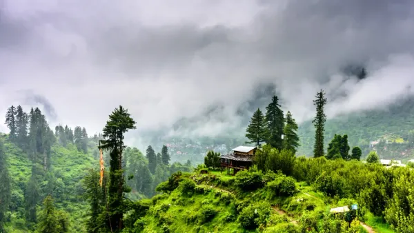 The First Pine — Where the Hills Begin