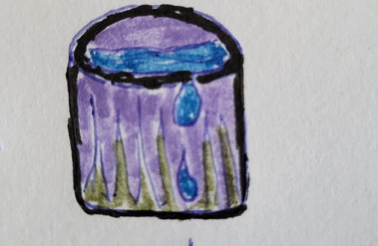 Un balde con agua. A bucket with water.