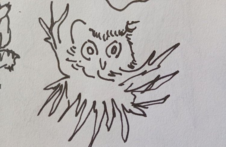 parece un buho. it looks like an owl.