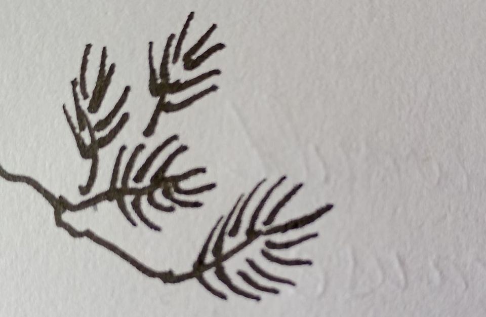 arbol - tree