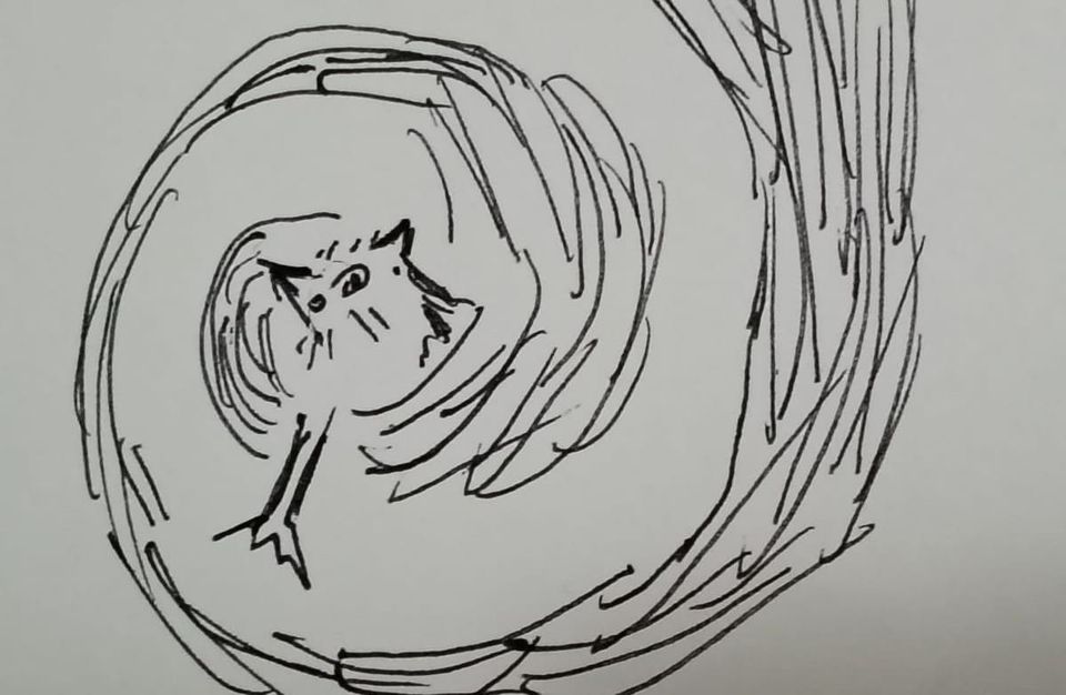Una comadreja en un torbellino. A weasel in a whirlwind.