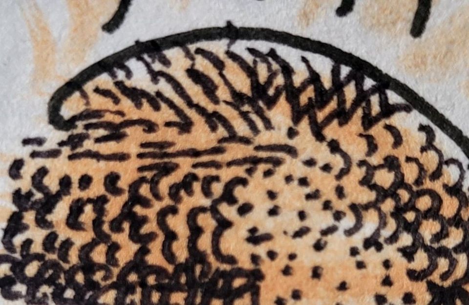 textura de garabatos negros en naranja. texture of black scribbles on orange.