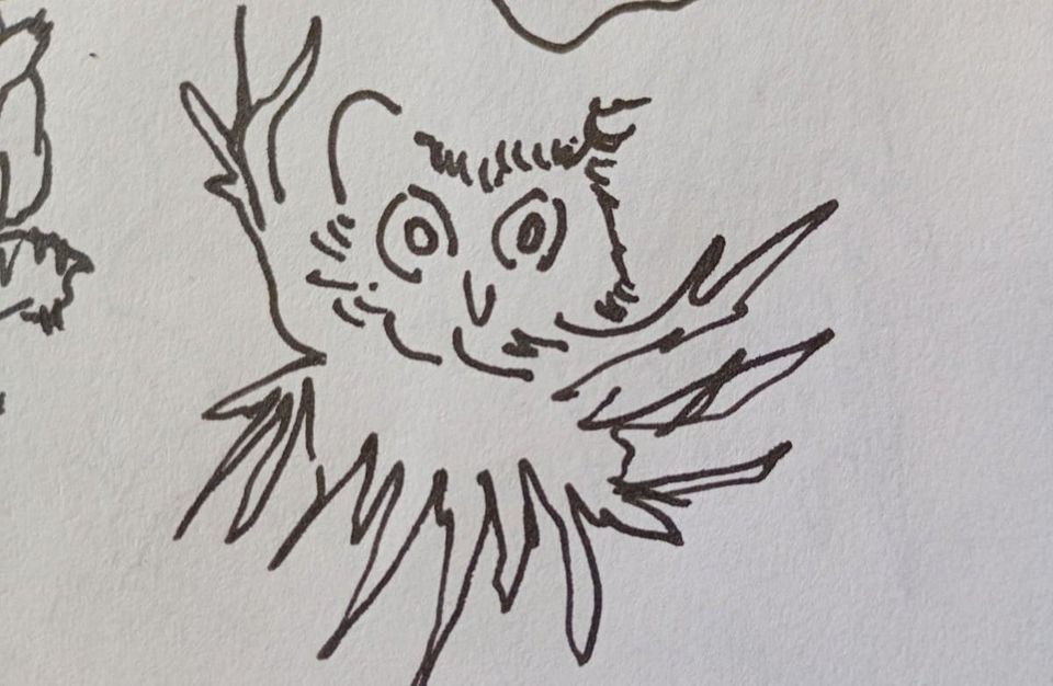 parece un buho. it looks like an owl.