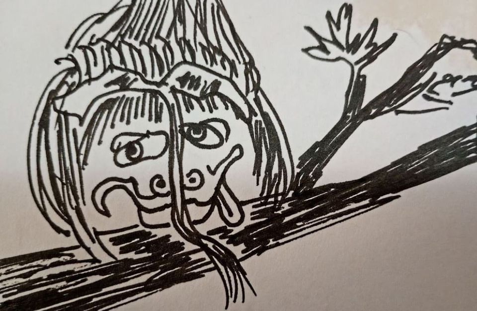 una cabeza peluda y enorme en una rama. a big hairy head on a branch.