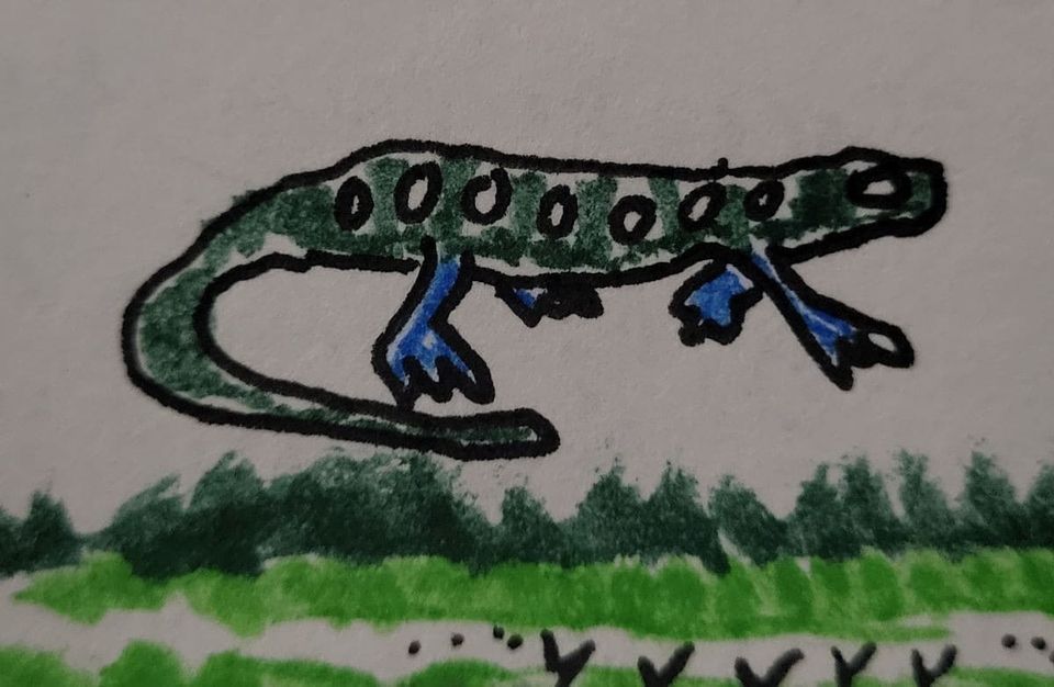 anfibio verde con paticas azules. green amphibian with blue feet.