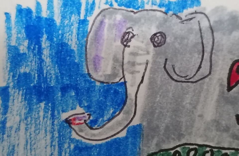 elefante con ojos grandes. elephant with big eyes.