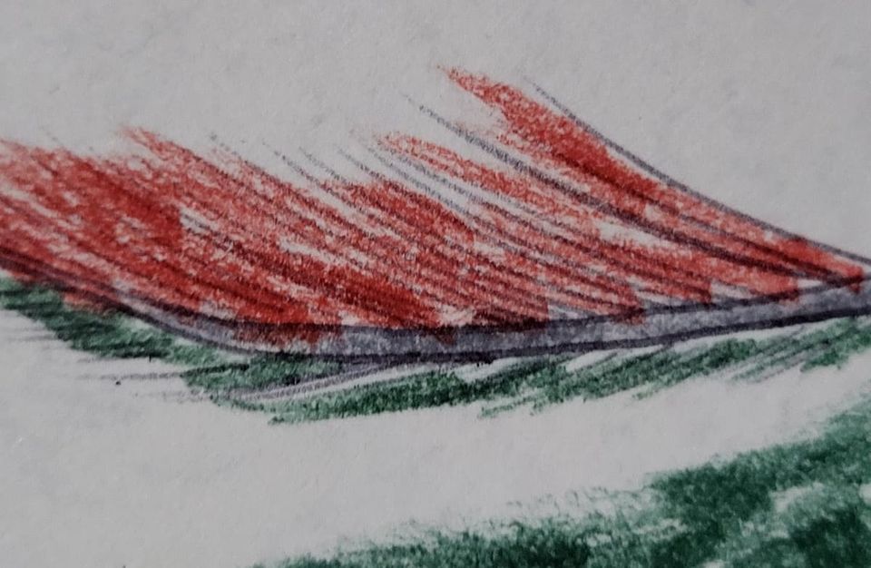 una pluma roja y verde. a red and green feather.