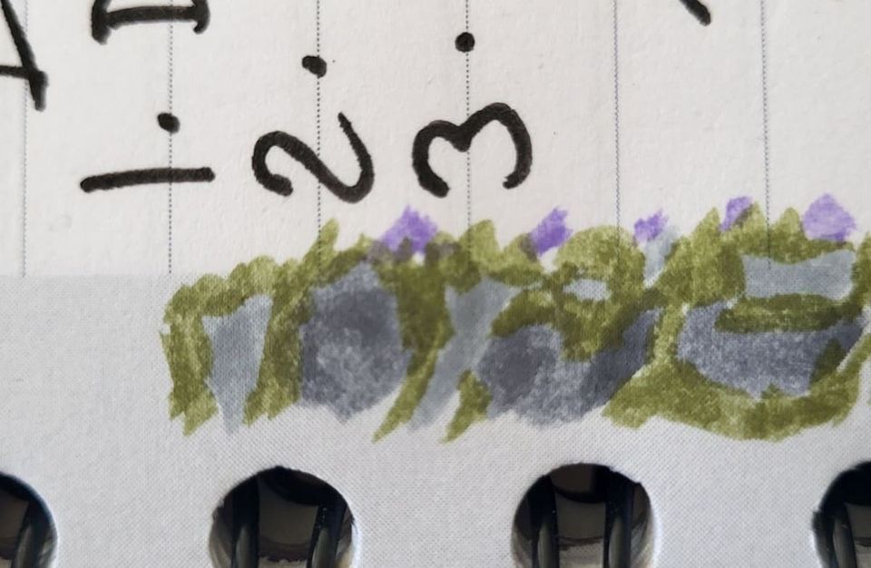 gris y verde y violeta. gray and green and violet.