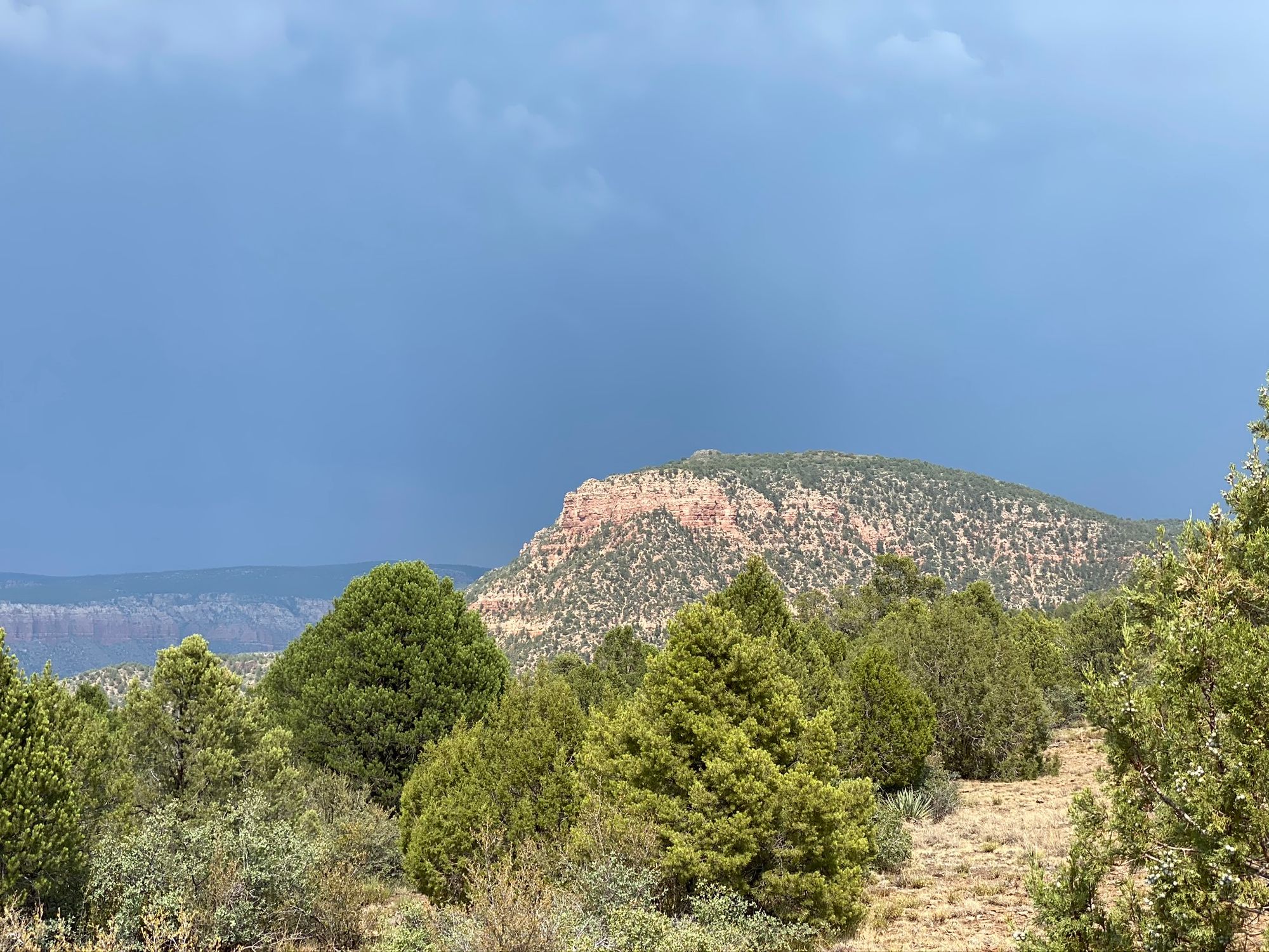 Bob Bear Trailhead is beautiful and has amazing views of the red rock