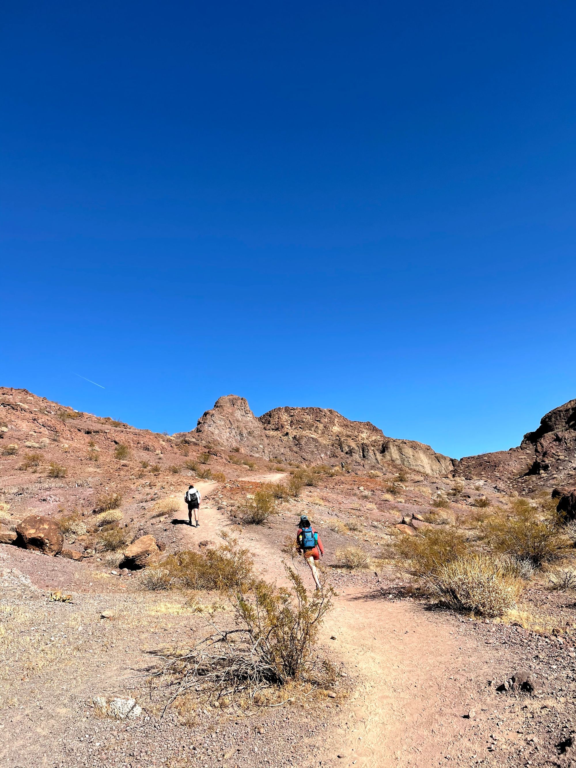 Ringbolt Hot Springs near Boulder City, Nevada