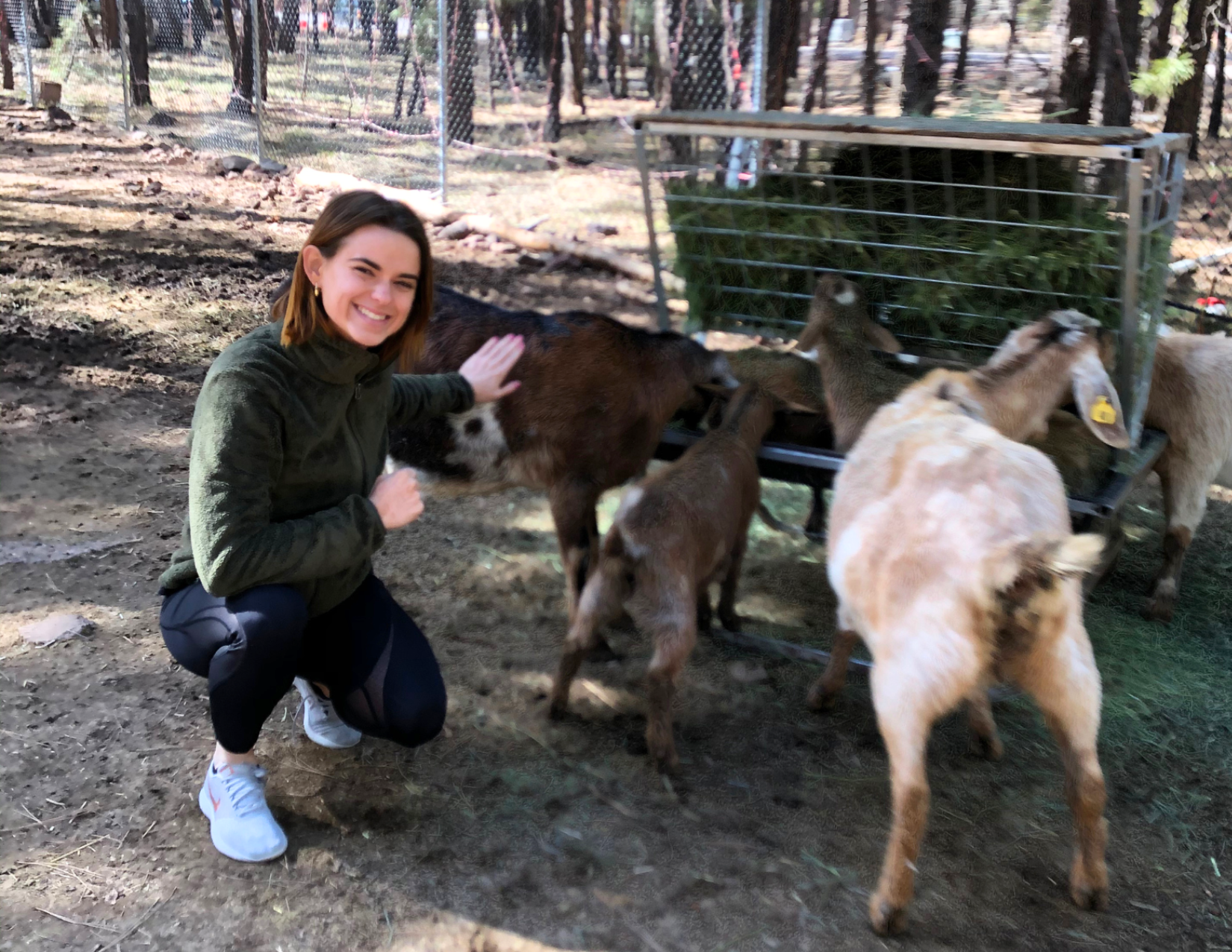 Lacy Cain Baranack petting some goats while driving through Bearizona in Williams, Arizona
