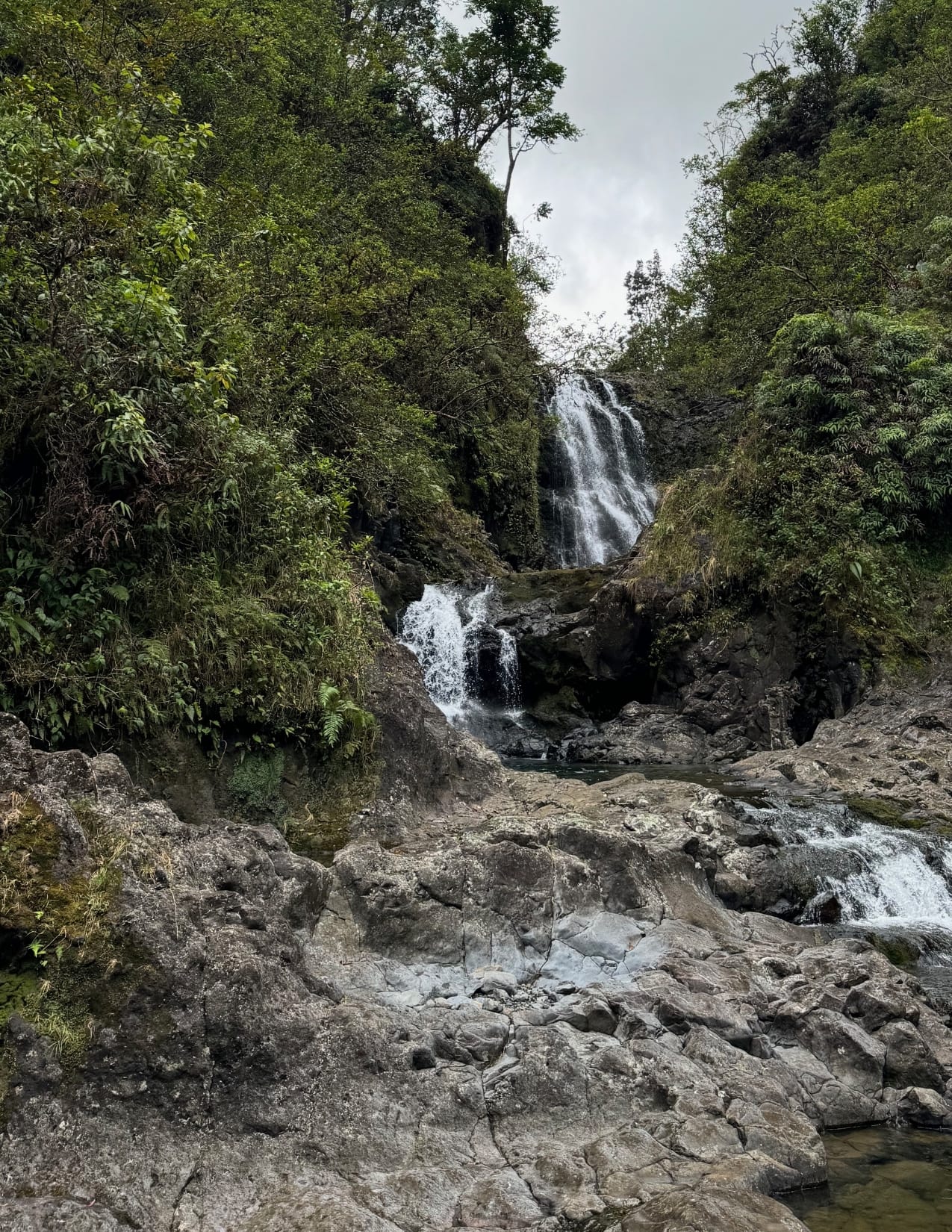Gorgeous waterfall surrounded by lush green plants on the Road to Hana in Maui, Hawaii