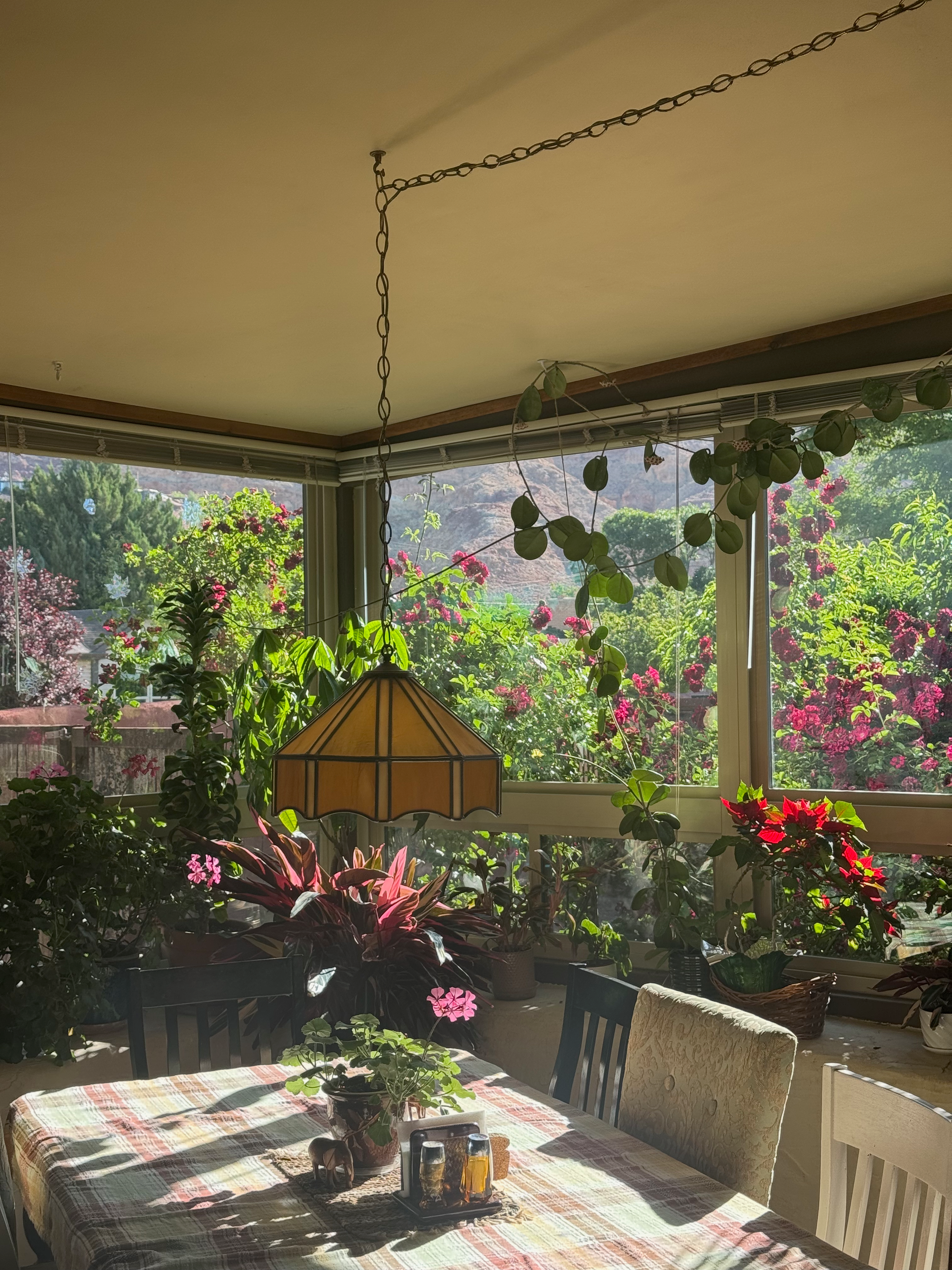 Table with chairs surrounded by plants at the Westwater Room Airbnb in Moab, Utah